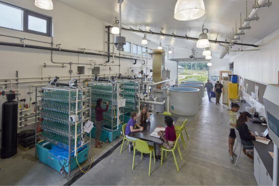 Aerial shot of a laboratory on Eden Hall Campus, with students working on various projects